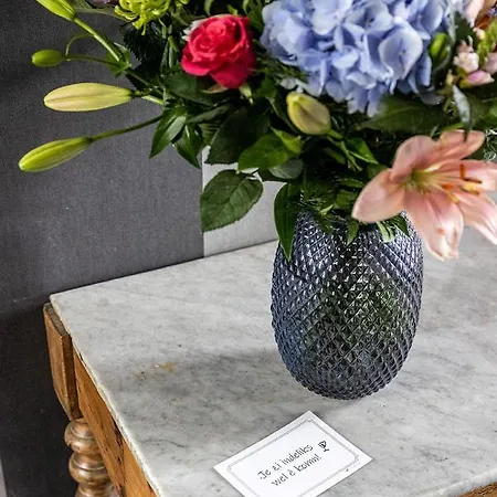 Vakantiewoning De Papaver